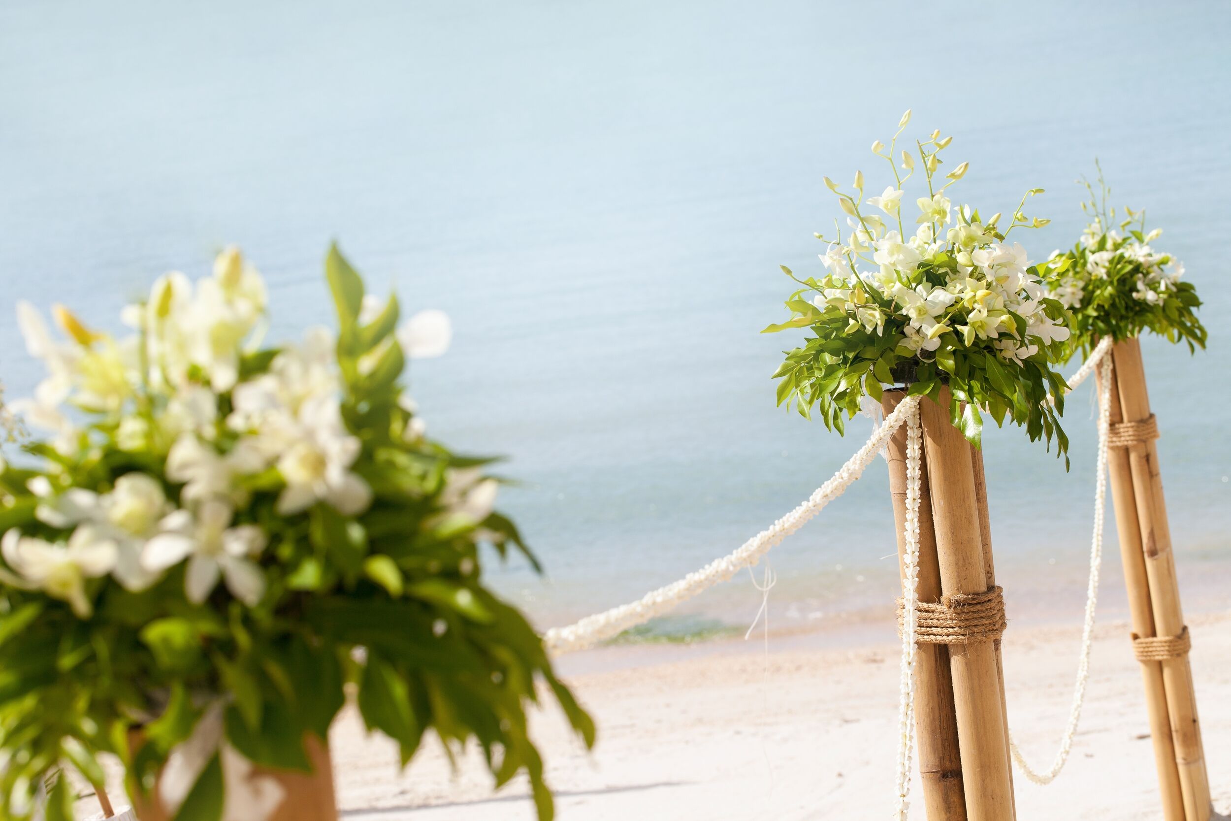 bush-of-flowers-bouquet-and-green-leaves-on-the-ba-2026-01-05-00-58-43-utc