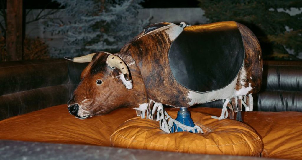 Buck Wild Bull Patent - Bay + Bre Photo - Buck Wild Mechanical Bull Rental Wedding Vendor